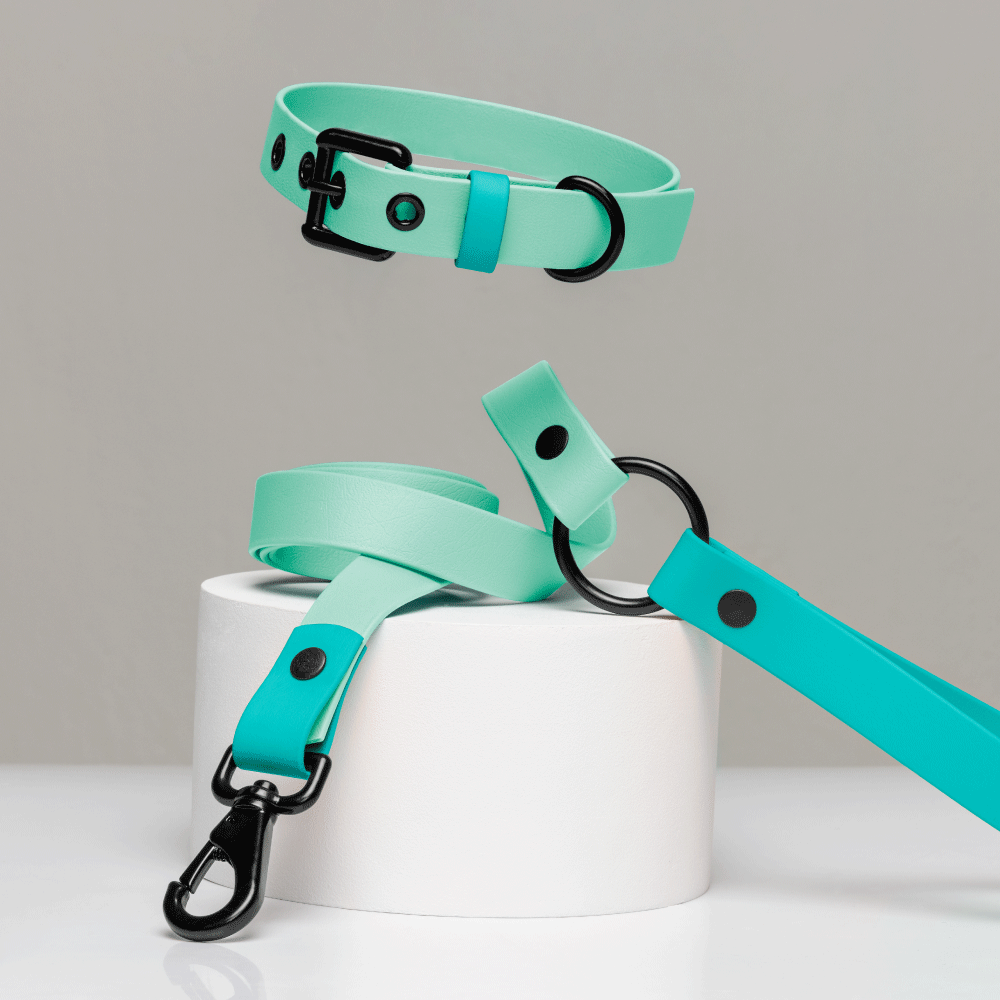 Il can waterproof dog collar and leash – Il Can Atelier