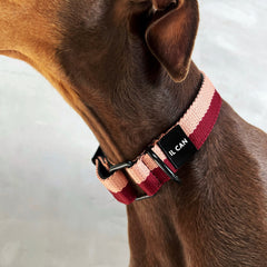 Collar Passion Cream - Il Can Atelier