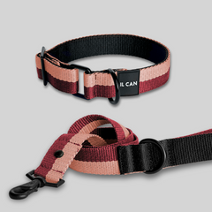 Set Collar y correa Passion Cream - Il Can Atelier