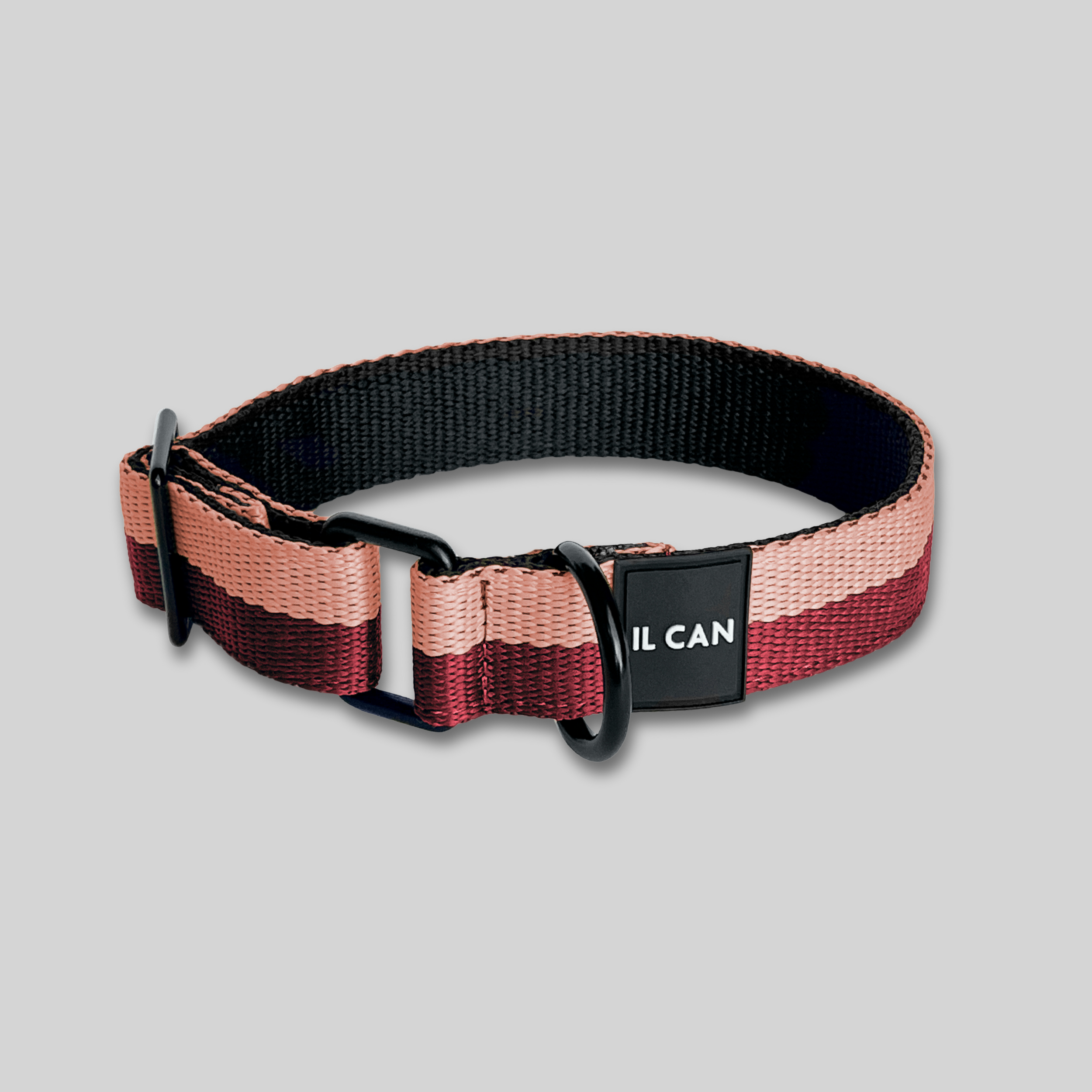 Set Collar y correa Passion Cream - Il Can Atelier