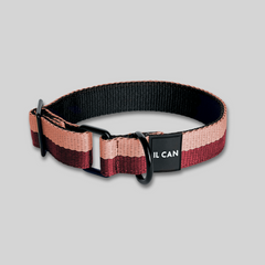 Set Collar y correa Passion Cream - Il Can Atelier