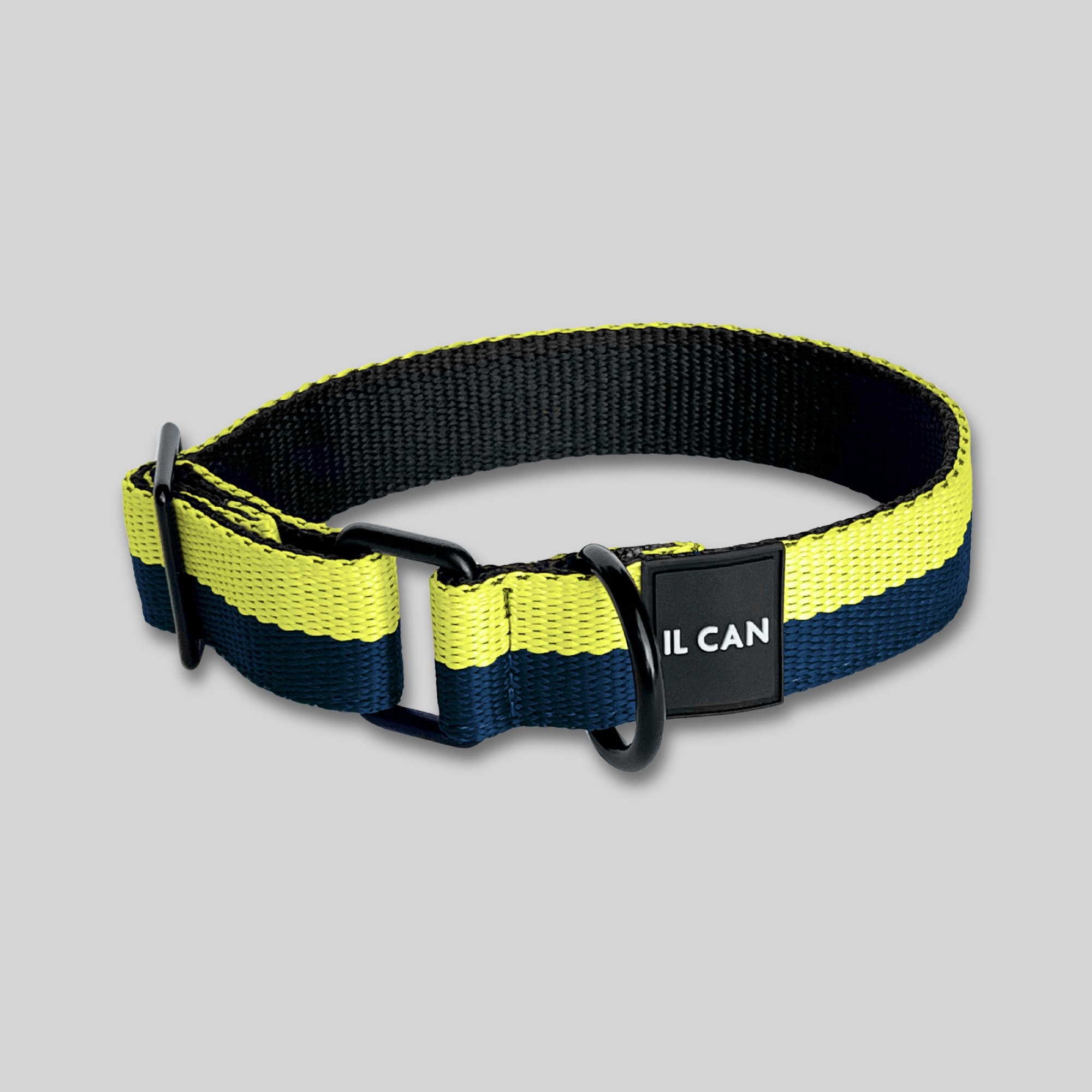 Set Collar y correas Navy lime - Il Can Atelier
