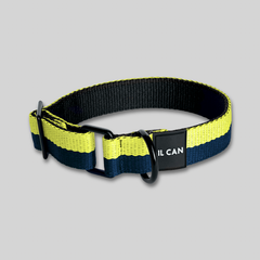 Set Collar y correas Navy lime - Il Can Atelier