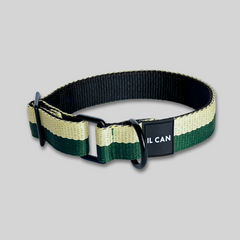 Set Collar y correa Misty Forest - Il Can Atelier