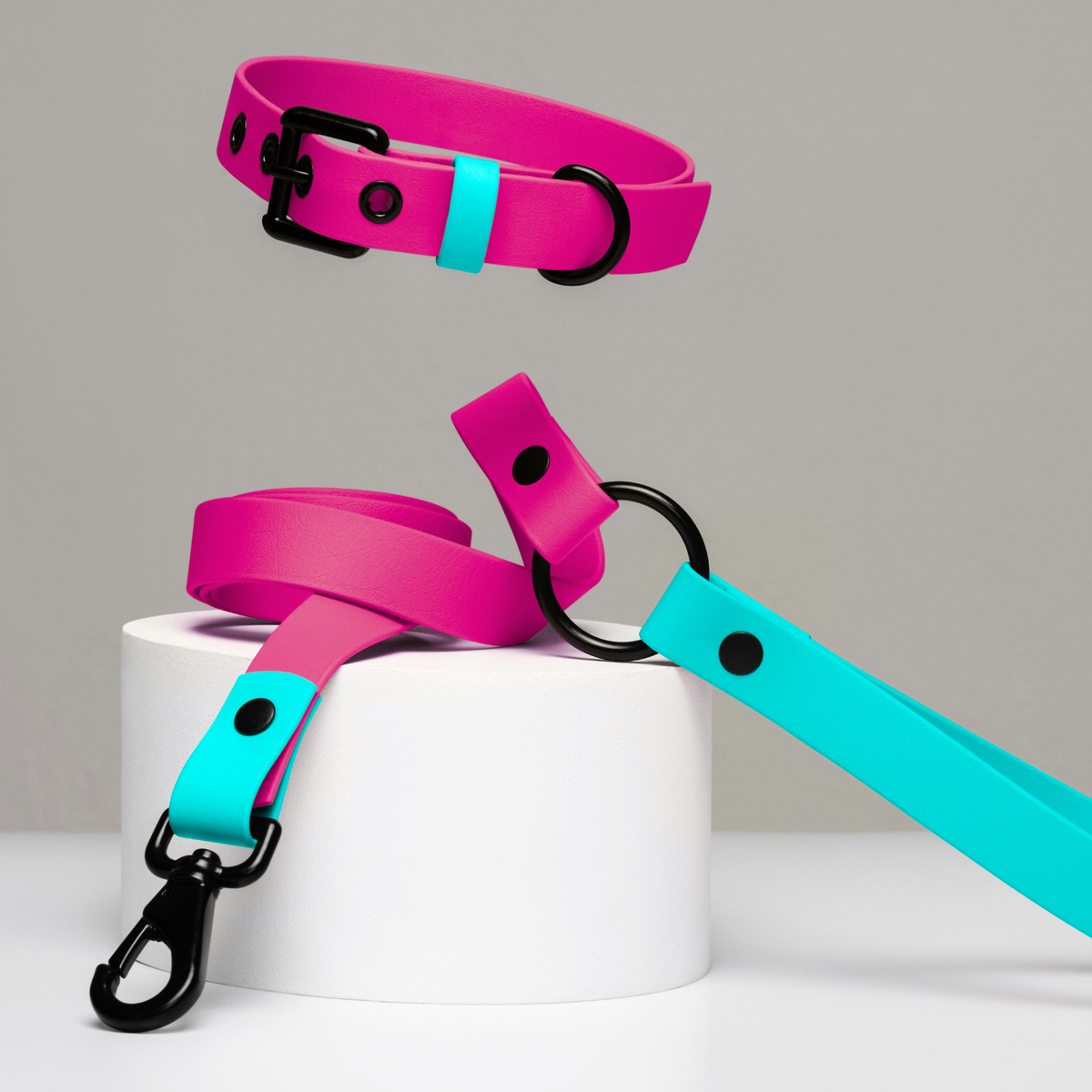 Set collar y correa impermeable PINKY QUEEN
