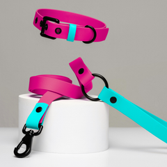 Set collar y correa impermeable PINKY QUEEN
