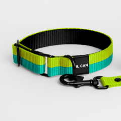 Collar Juicy Boop - Il Can Atelier