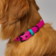 Set collar y correa impermeable PINKY QUEEN
