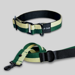 Set Collar y correa Misty Forest - Il Can Atelier