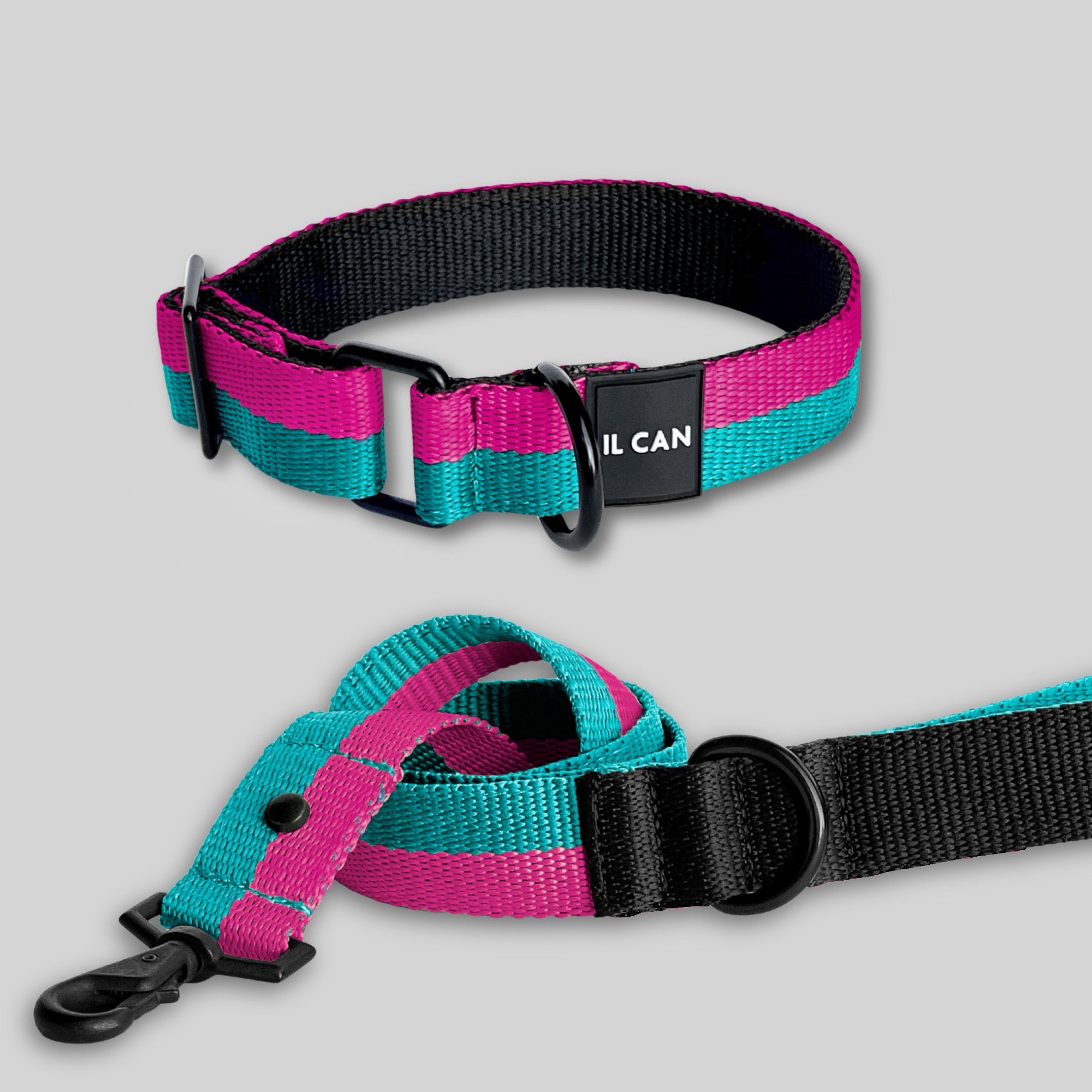 Set Collar y correa Twixie pinky - Il Can Atelier