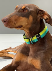 Collar Juicy Boop - Il Can Atelier