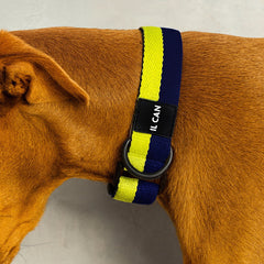 Set Collar y correas Navy lime - Il Can Atelier