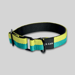 Set Collar y correa Juicy Boop - Il Can Atelier