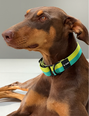 Set Collar y correa Juicy Boop - Il Can Atelier
