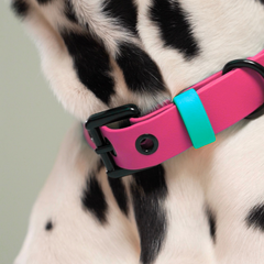 HOLLY JOLLY Waterproof Collar 