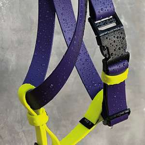 Arnés impermeable Lemon grape - Il Can Atelier