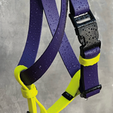 Arnés impermeable Lemon grape - Il Can Atelier