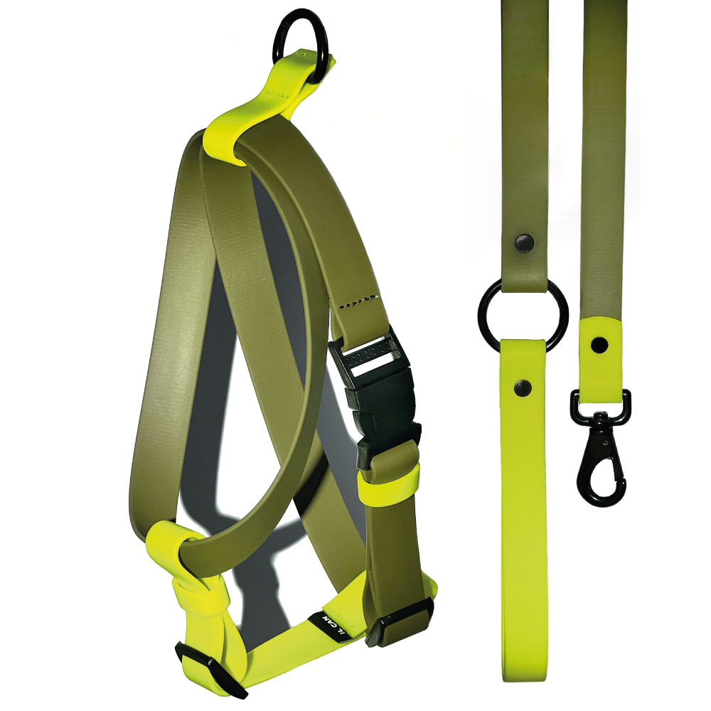 Set Arnés y correa impermeable Wonder wild - Il Can Atelier
