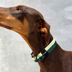 Collar Misty Forest - Il Can Atelier