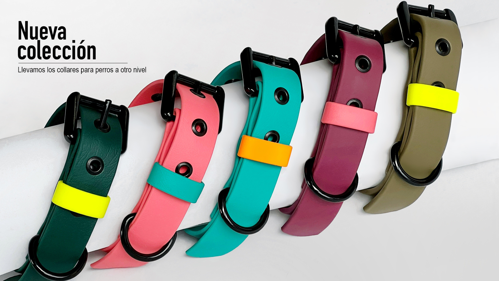 Collares para perros, IL CAN nuev coleccion , impermeables
