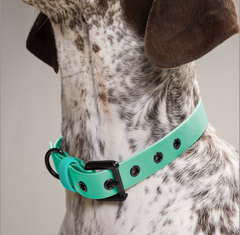 Collar impermeable AQUALICIOUS