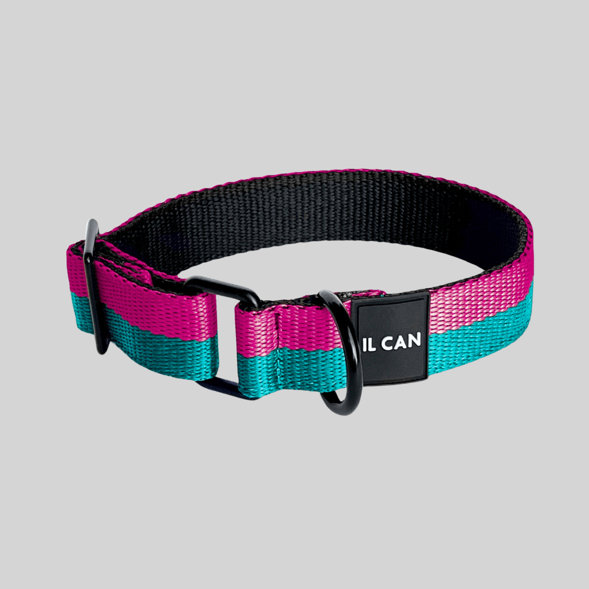 Set Collar y correa Twixie pinky - Il Can Atelier