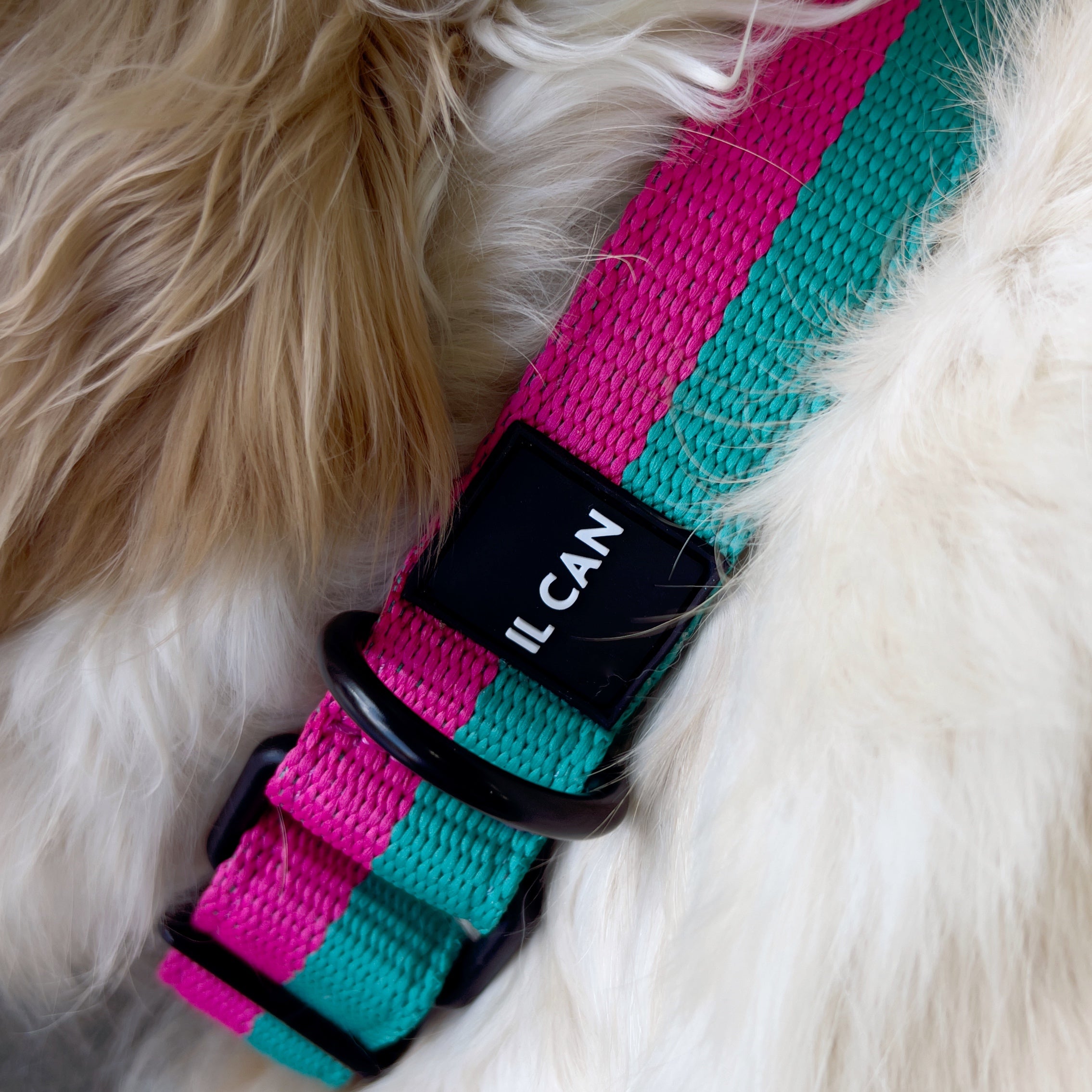 Collar Twixie pinky - Il Can Atelier