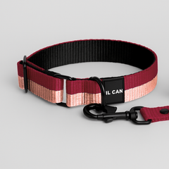 Collar Passion Cream - Il Can Atelier