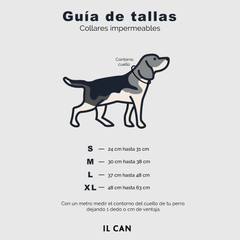 Set collar y correa impermeable VERY CHERRY - Il Can Atelier