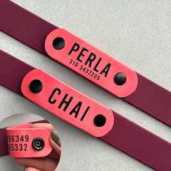 VERY CHERRY waterproof collar and leash set 