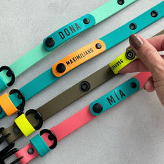 HOT MAMA waterproof collar and leash set 