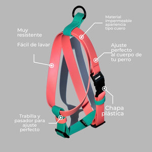 Set Arnés y correa impermeable Hot mama - Il Can Atelier