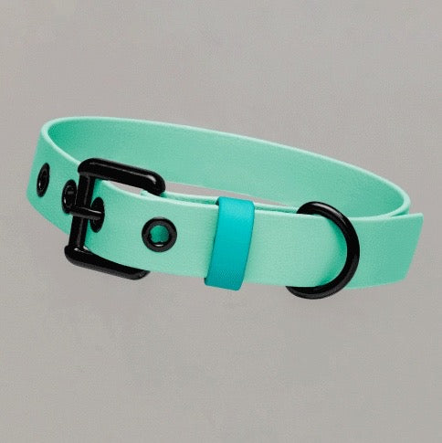 HOLLY JOLLY Waterproof Collar 