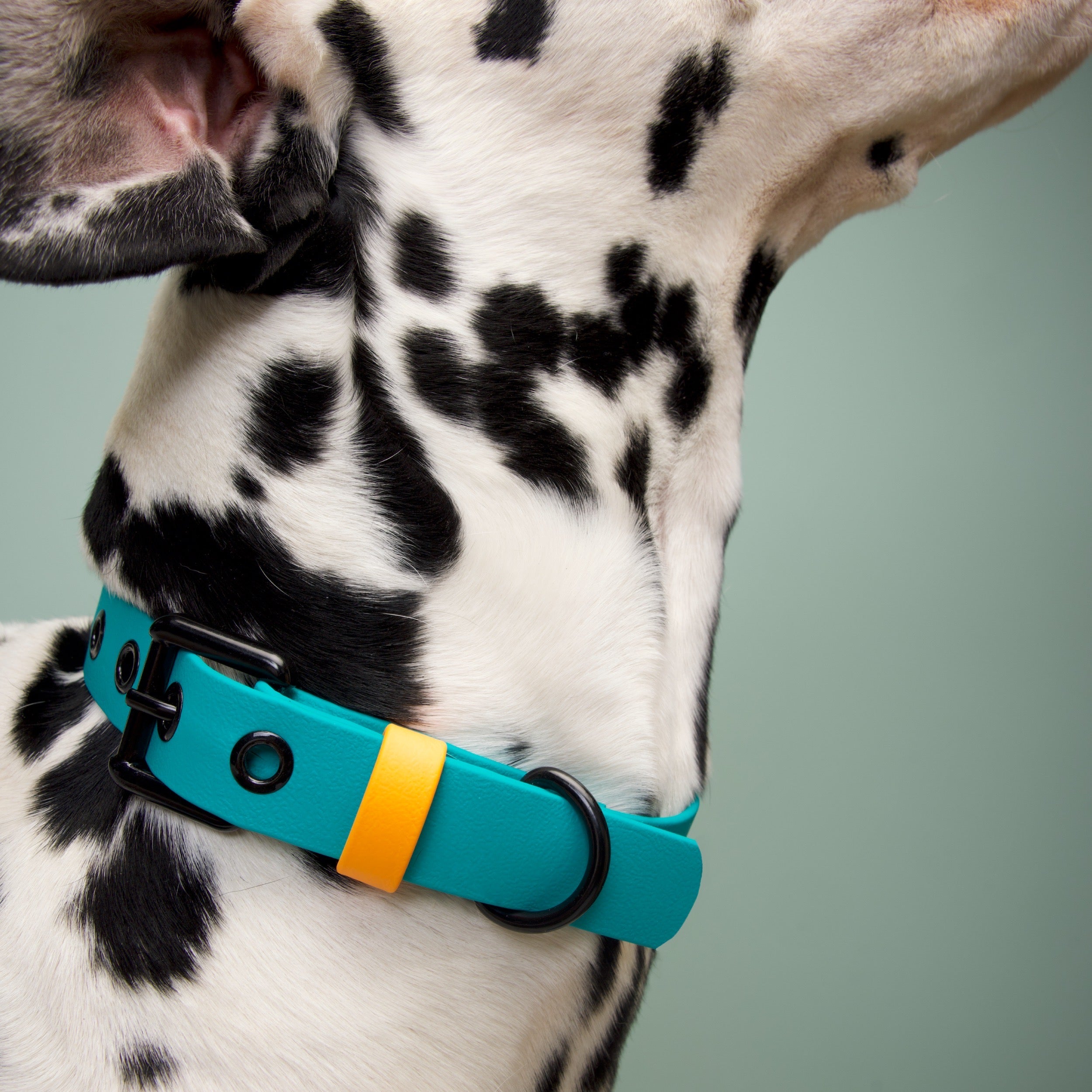 Collar impermeable HOLLY JOLLY - Il Can Atelier