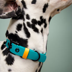 Collar impermeable HOLLY JOLLY - Il Can Atelier