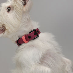 Collar impermeable VERY CHERRY - Il Can Atelier