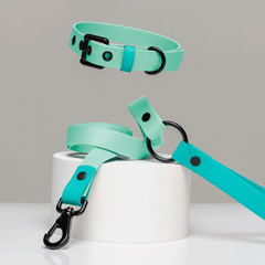 Set collar y correa impermeable AQUALICIOUS