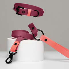 Set collar y correa impermeable VERY CHERRY - Il Can Atelier