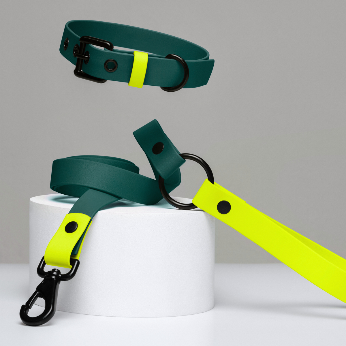LEMON JUNGLE waterproof collar and leash set