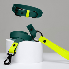 LEMON JUNGLE waterproof collar and leash set