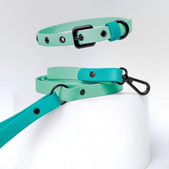 HOT MAMA waterproof collar and leash set 