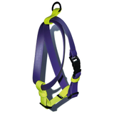 Arnés impermeable Lemon grape - Il Can Atelier