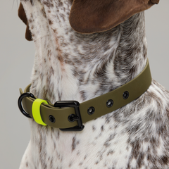 Collar impermeable WONDER WILD - Il Can Atelier