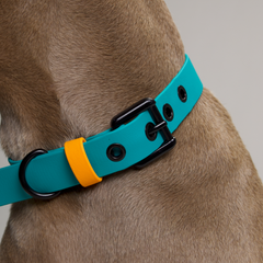 Collar impermeable HOLLY JOLLY - Il Can Atelier