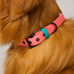 Collar Impermeable HOT MAMA - Il Can Atelier