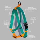 Set Arnés y correa impermeable Holly Jolly - Il Can Atelier
