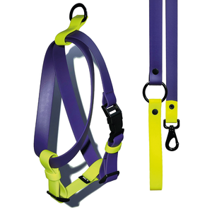 Set Arnés y correa impermeable Lemon Grape - Il Can Atelier