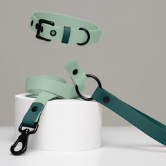 Set collar y correa impermeable DREAMY MINT - Il Can Atelier