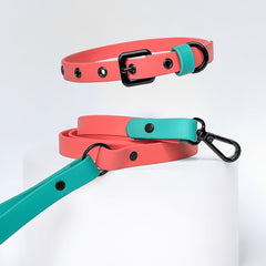 HOT MAMA waterproof collar and leash set 