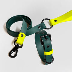 Set collar y correa LEMON JUNGLE - Il Can Atelier